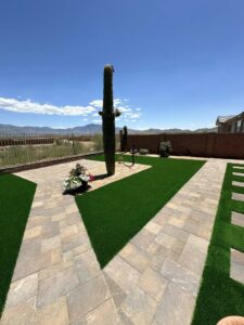 Artificial Grass and Paver Designs in Arizona with Native Plants