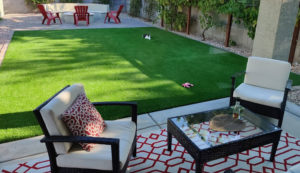 Sustainable Landscaping Services in Phoenix - Landscaping Designs for First-Time Buyers in Phoenix, AZ