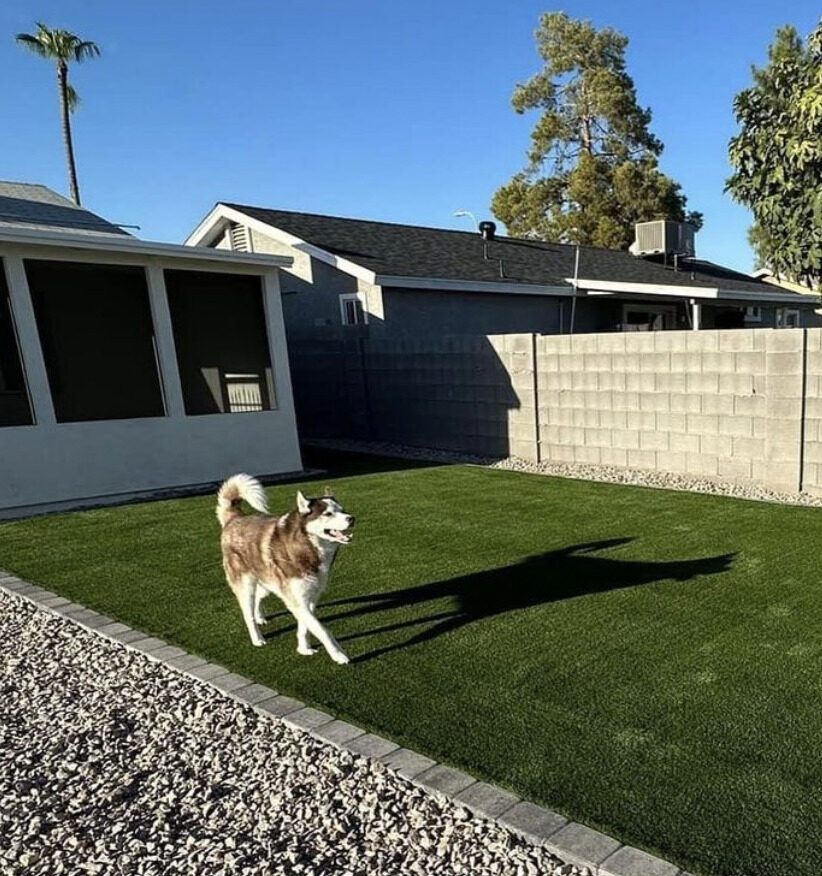 Pet-Friendly Turf Near Phoenix and Tucson