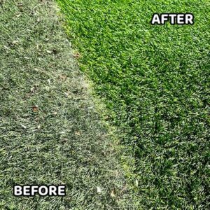 Turf Cleaning and Maintenance in Arizona